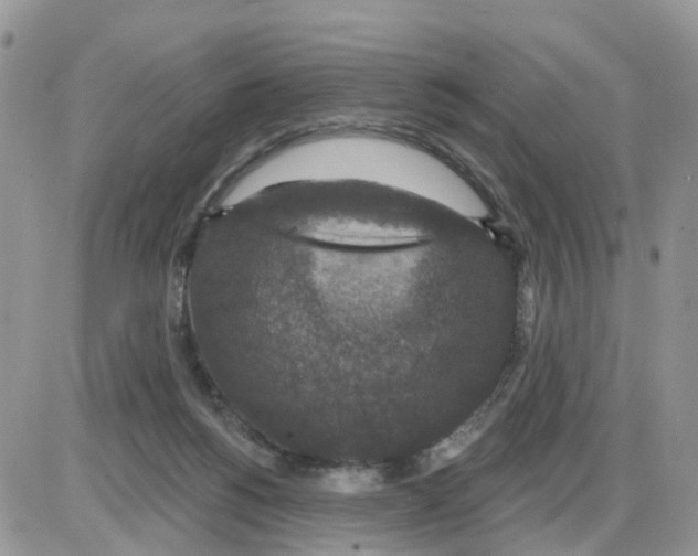 X0000086050168200704202045