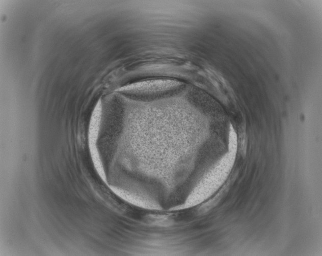 X0000086050170200704202045