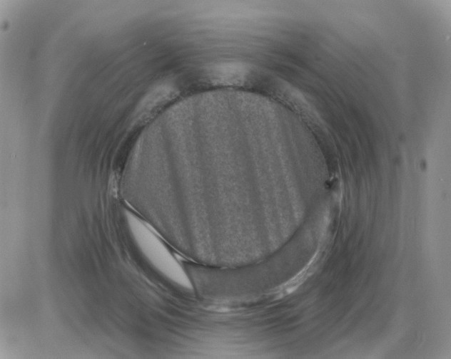 X0000086050172200704202045