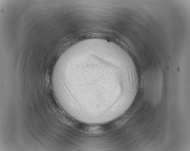 X0000086050173200704202045