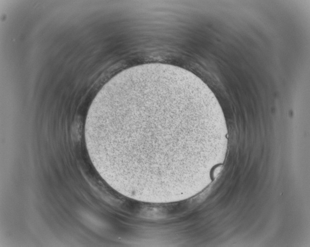 X0000086050174200704202045