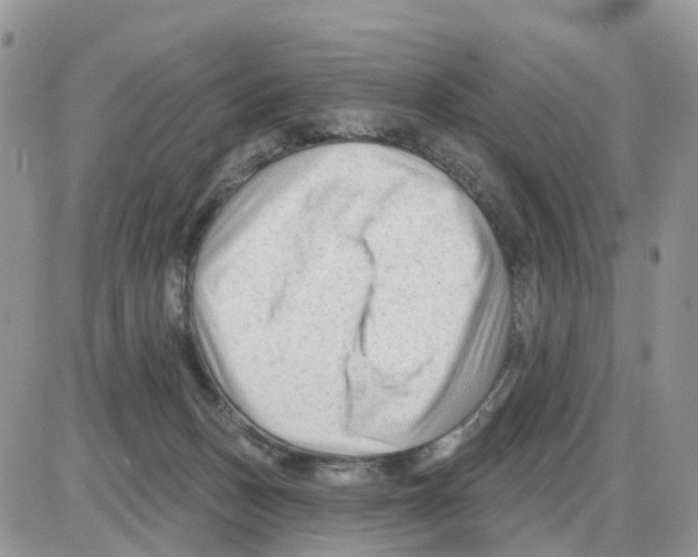 X0000086050175200704202045