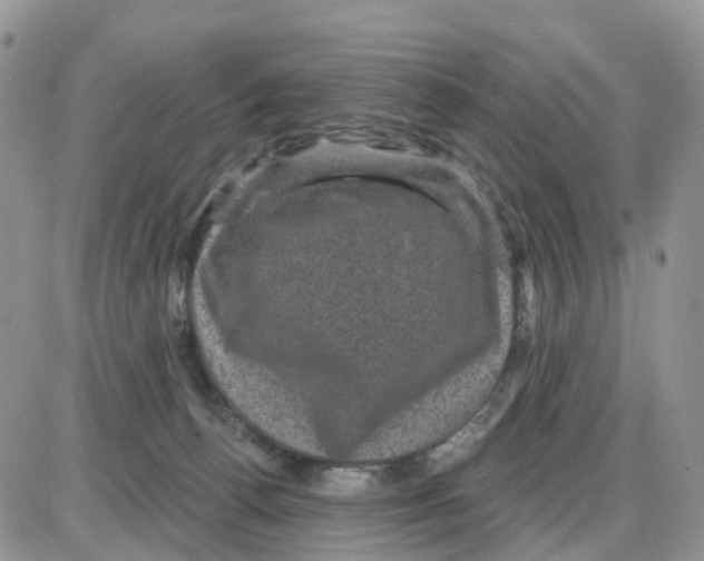 X0000086050176200704202045