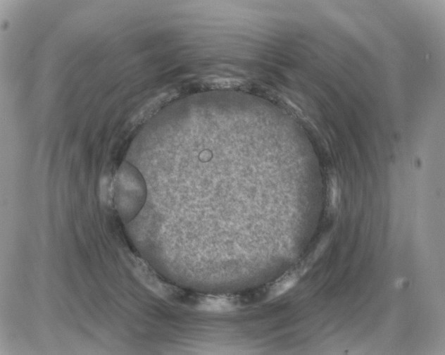 X0000086050177200704202045