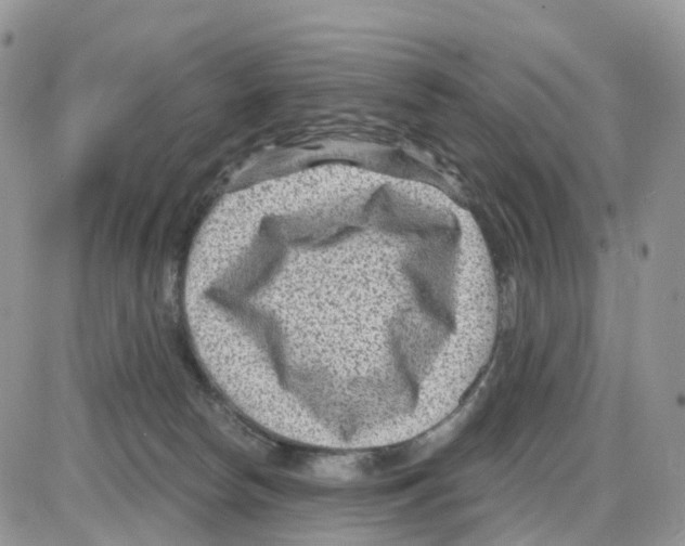 X0000086050178200704202045