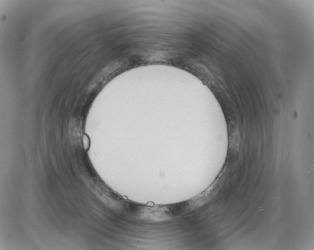 X0000086050179200704202045