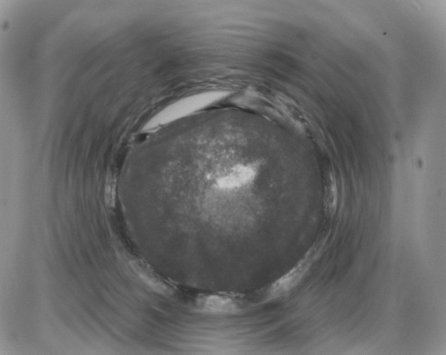 X0000086050180200704202045