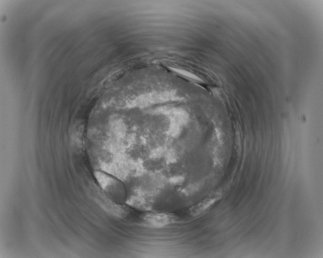 X0000086050181200704202045