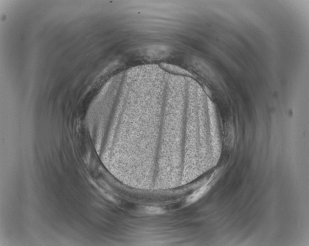 X0000086050184200704202045