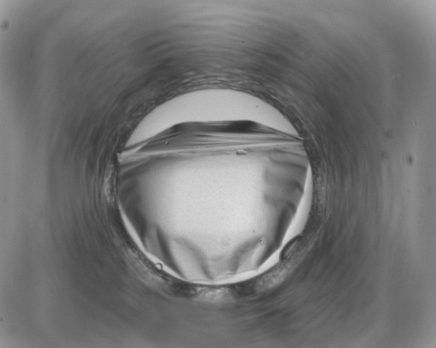 X0000086050185200704202045