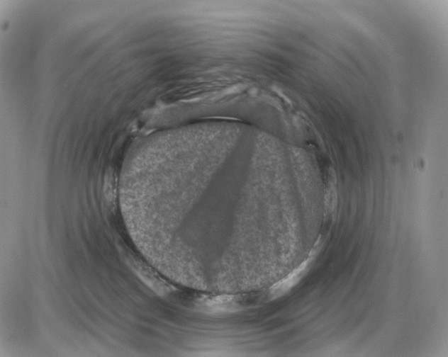 X0000086050186200704202045