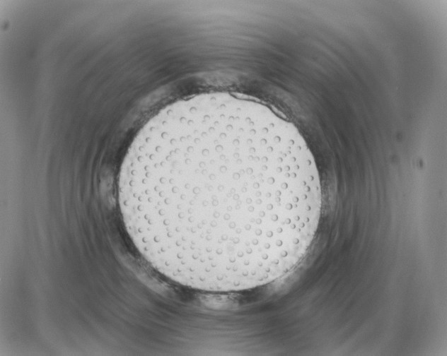 X0000086050187200704202045