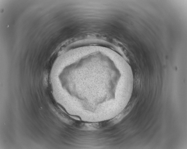 X0000086050188200704202045