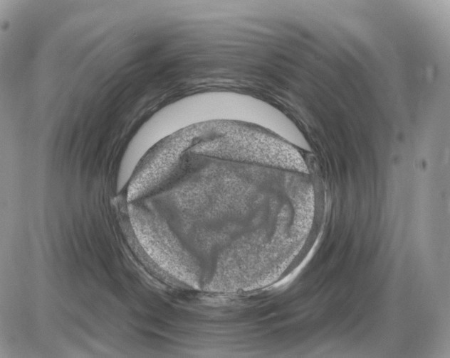 X0000086050190200704202045