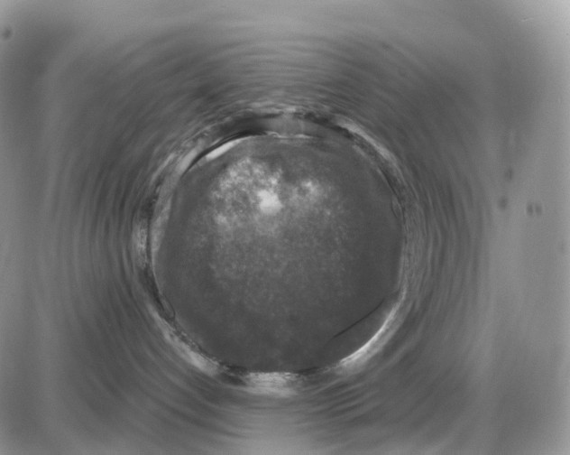 X0000086050192200704202045