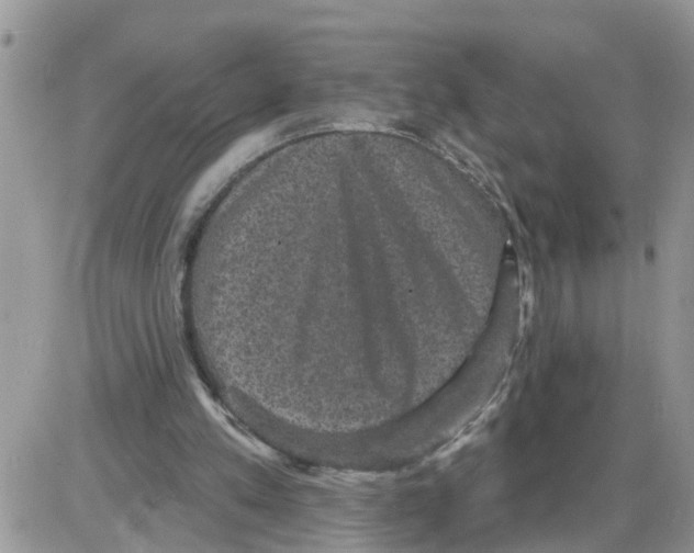 X0000086050197200704202044