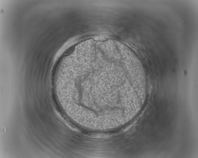 X0000086050198200704202044