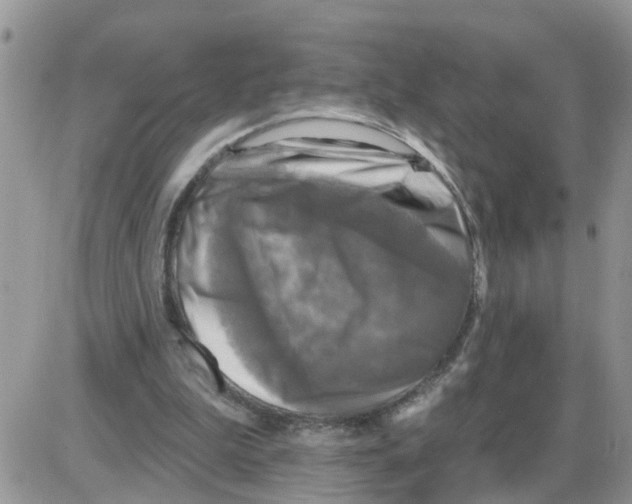 X0000086050199200704202044