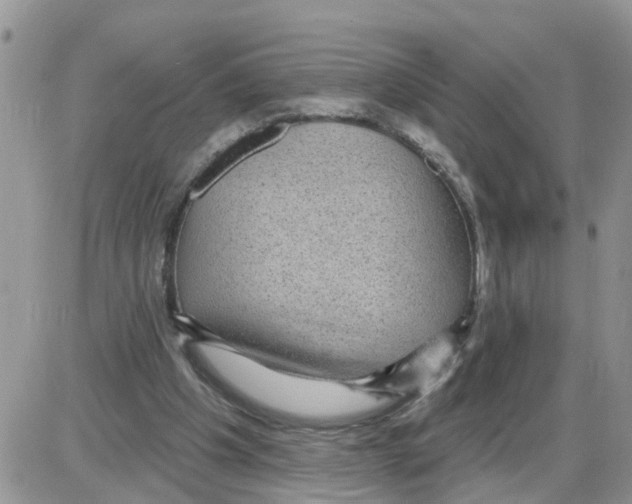 X0000086050201200704202044