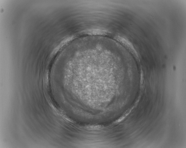 X0000086050202200704202044