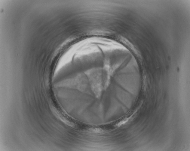 X0000086050203200704202044