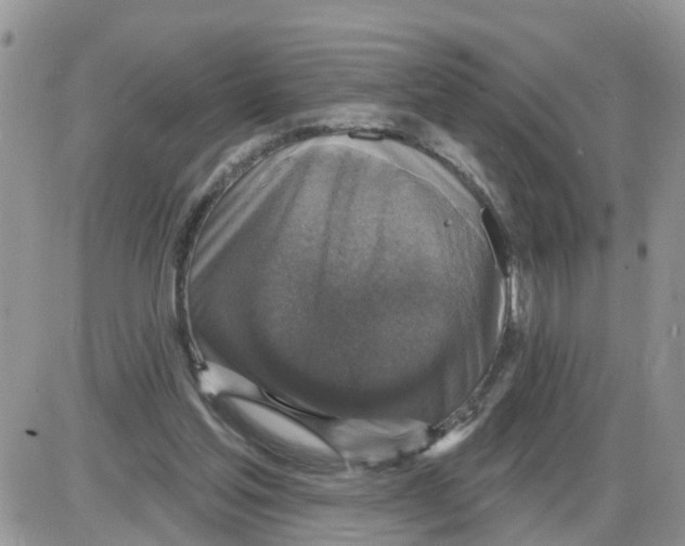 X0000086050205200704202044