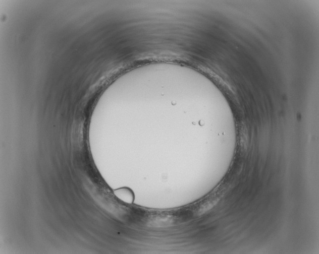 X0000086050206200704202044