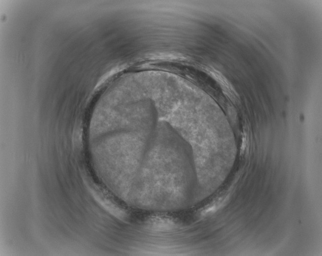 X0000086050207200704202044