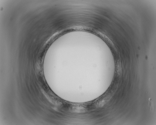 X0000086050208200704202044