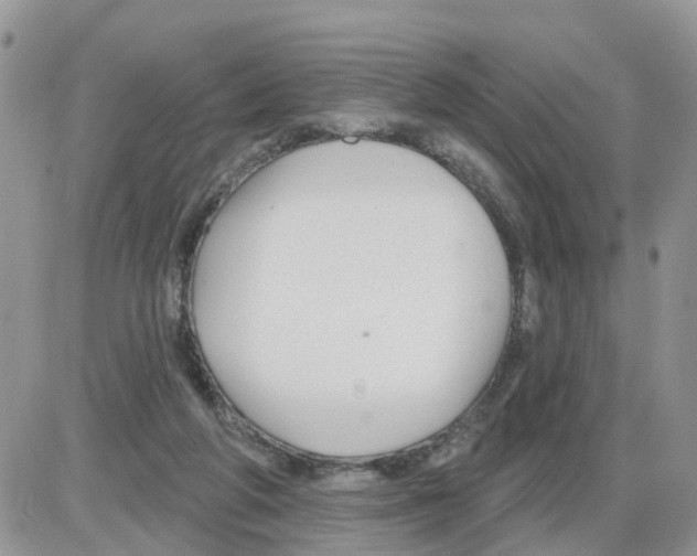 X0000086050210200704202044