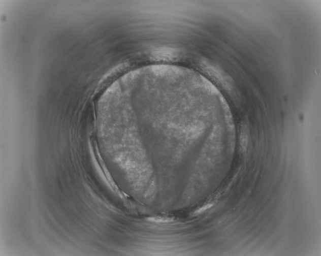 X0000086050211200704202044