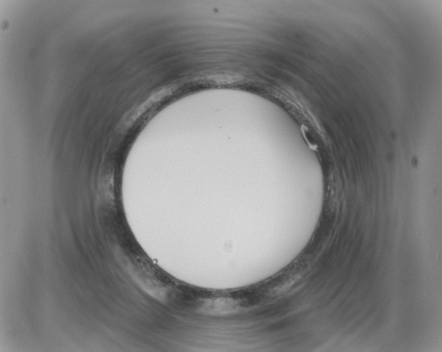 X0000086050212200704202044