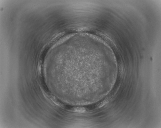 X0000086050214200704202044