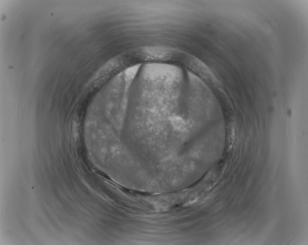 X0000086050215200704202044