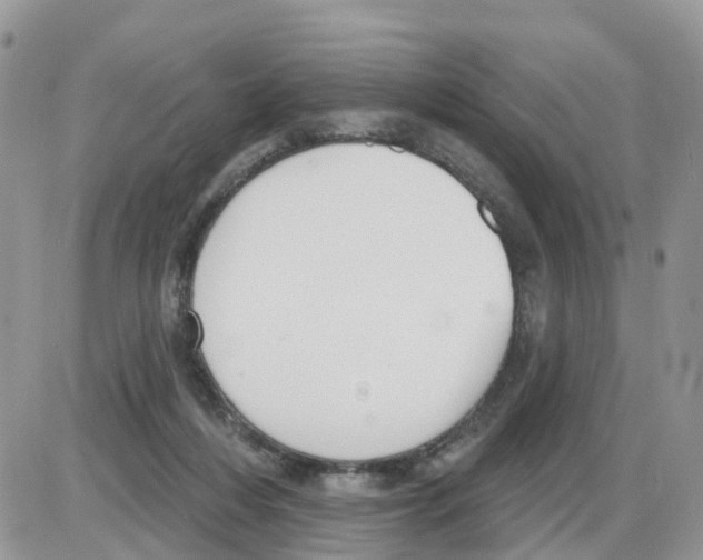 X0000086050216200704202044