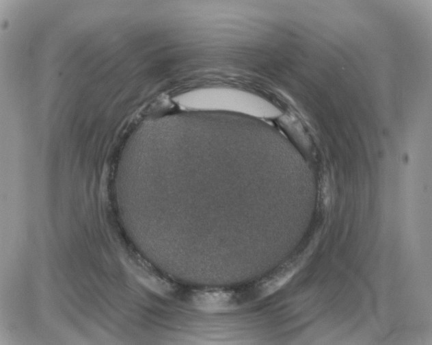 X0000086050217200704202044