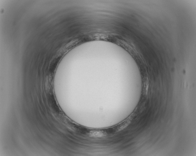 X0000086050218200704202044