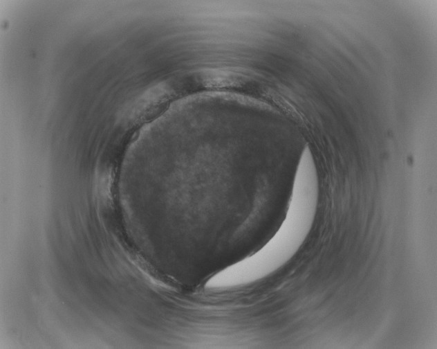 X0000086050219200704202044