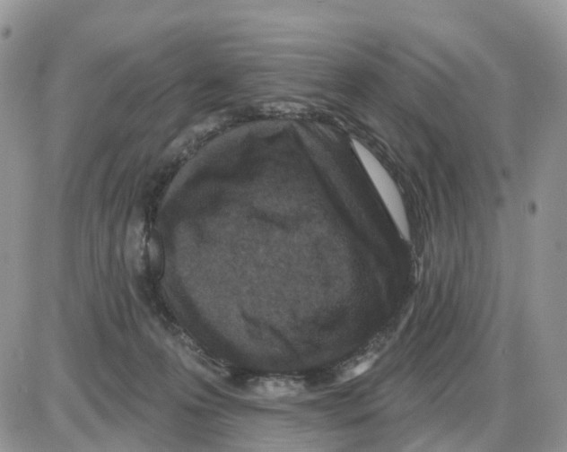 X0000086050223200704202044