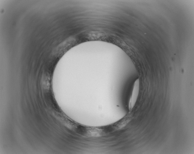 X0000086050226200704202044