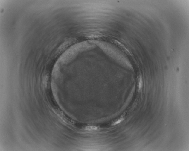 X0000086050227200704202044