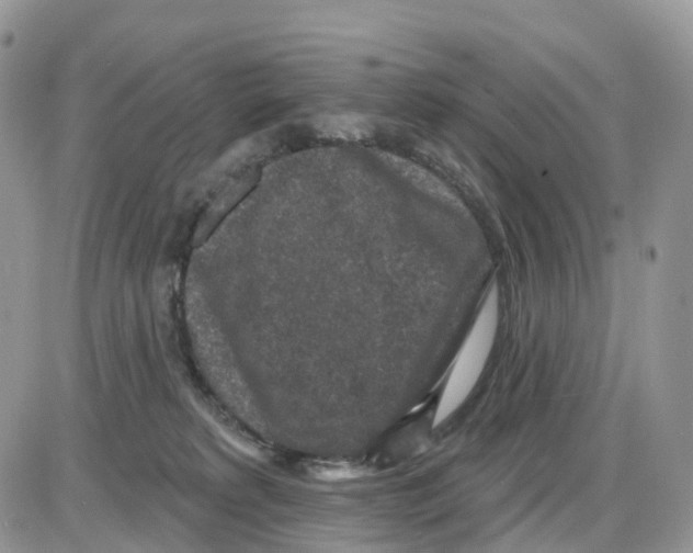 X0000086050229200704202044