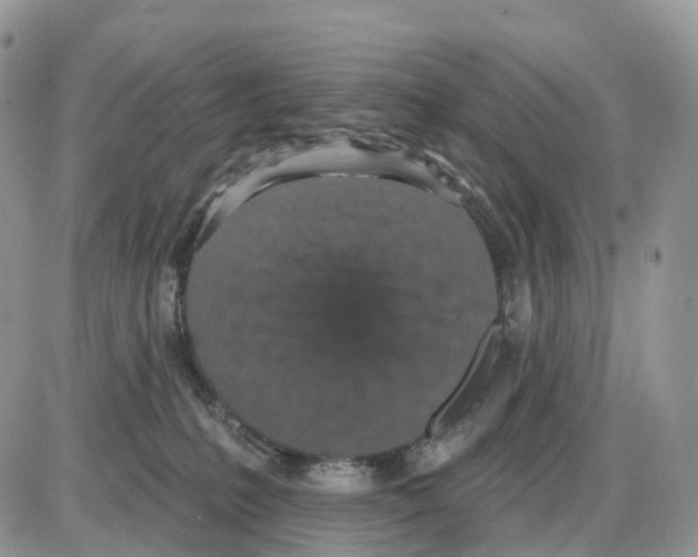 X0000086050231200704202044