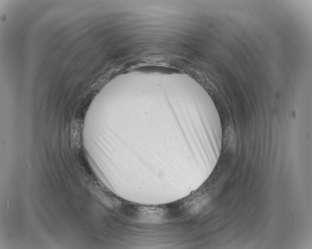 X0000086050234200704202044