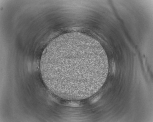 X0000086050236200704202044