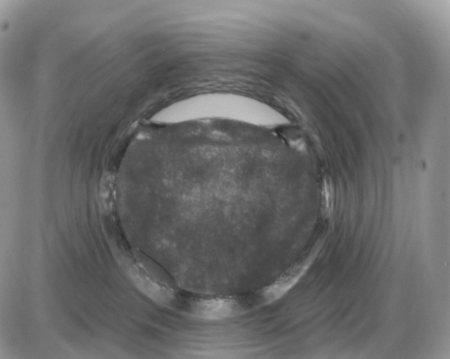 X0000086050237200704202044