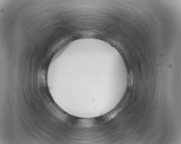 X0000086050238200704202044