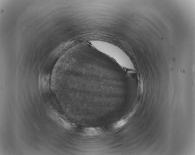 X0000086050239200704202044