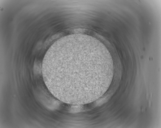 X0000086050240200704202044