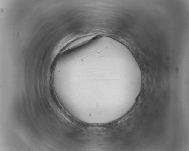 X0000086050242200704202043